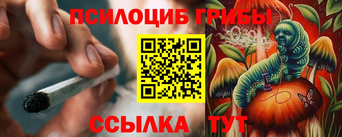 Донецк  Псилоцибиновые грибы мицелий  Вход с VPN 